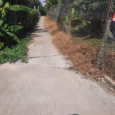 Đất vườn sầu riêng Gần Chợ Hiệp Đức Cai Lậy Tiền Giang