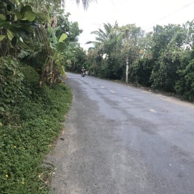 Đất Mặt Tiền Tỉnh Lộ 864 Gần Cầu Trà Lọt 2 - Cái Bè - Tiền Giang