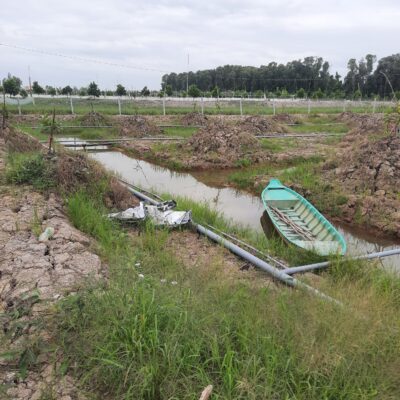 vườn sầu riêng Thái gần 15 công, hạ tầng bét phun, bao lưới bảo vệ vườn