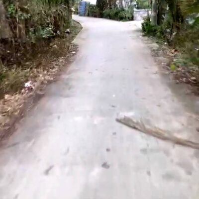 Đất Thanh Hưng, Thanh Hòa, TX Cai Lậy - Tiền Giang