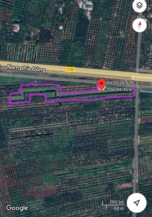 bán đất vườn sầu riêng Cai Lậy - Ảnh 2