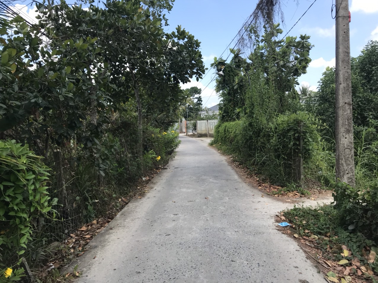 đất thổ cư Tiền Giang, đất gần trường Huỳnh Văn Sâm, đất ô tô vào được, đất xây nhà cho thuê