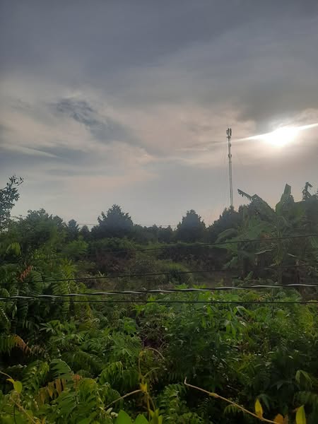 đất Đông Hòa Hiệp - Ảnh 3