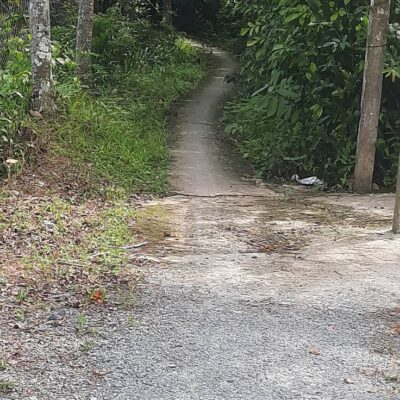 Đất vườn 2000m² trồng sầu riêng tại Đông Hòa Hiệp Cái Bè