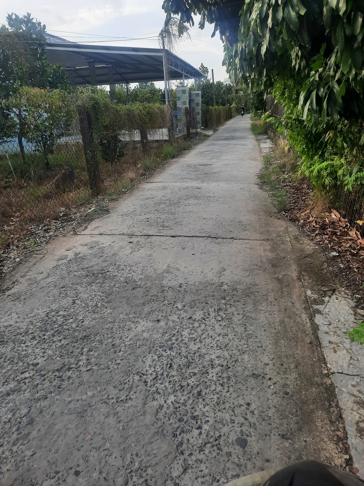 đất gần Cầu Bà Thêm, đất Cái Bè, đất vườn giá tốt, bán đất Cái Bè