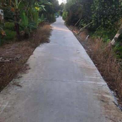 đất vườn Tiền Giang, mua đất sầu riêng, đất canh tác Cái Bè, đầu tư đất vườn