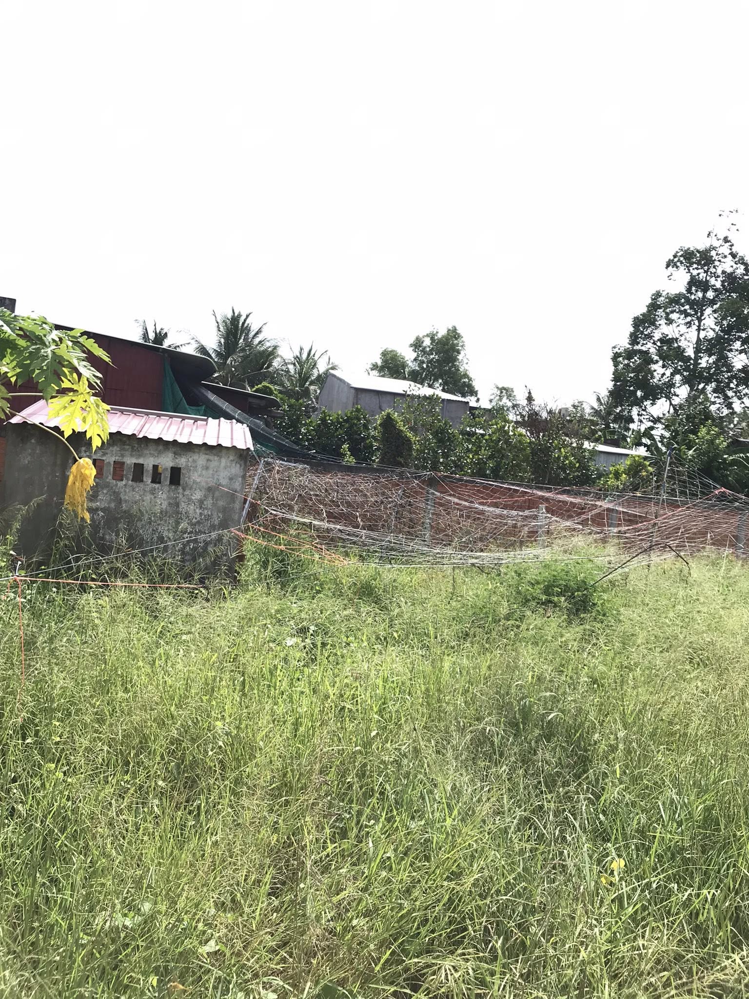 đất 2 mặt tiền Thanh Hòa Cai Lậy - Ảnh 5