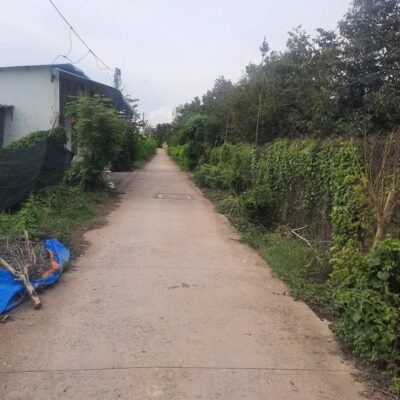 Nền đất 5x30m ngay trường học Bình Phú, Cai Lậy – pháp lý rõ ràng, giá gốc chỉ 800 triệu, vị trí đẹp, tiềm năng sinh lời cao.