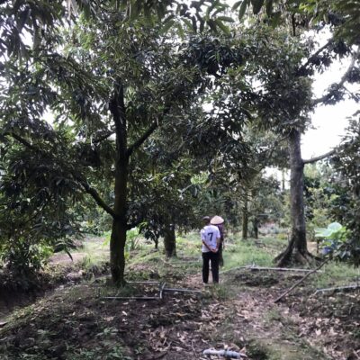 Đất vườn gần chợ Hội Xuân, Cai Lậy, 2000m2, có nhà sẵn, giáp rạch, đường ô tô, giá chỉ 1.65 tỷ, pháp lý rõ ràng, tiềm năng cao.