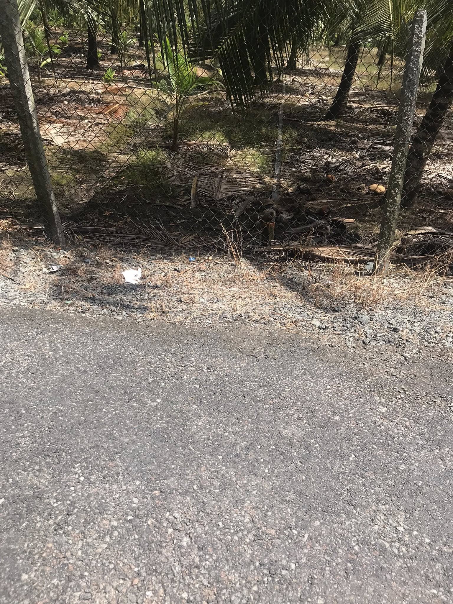 đất mặt tiền đường B2 - Ảnh 3