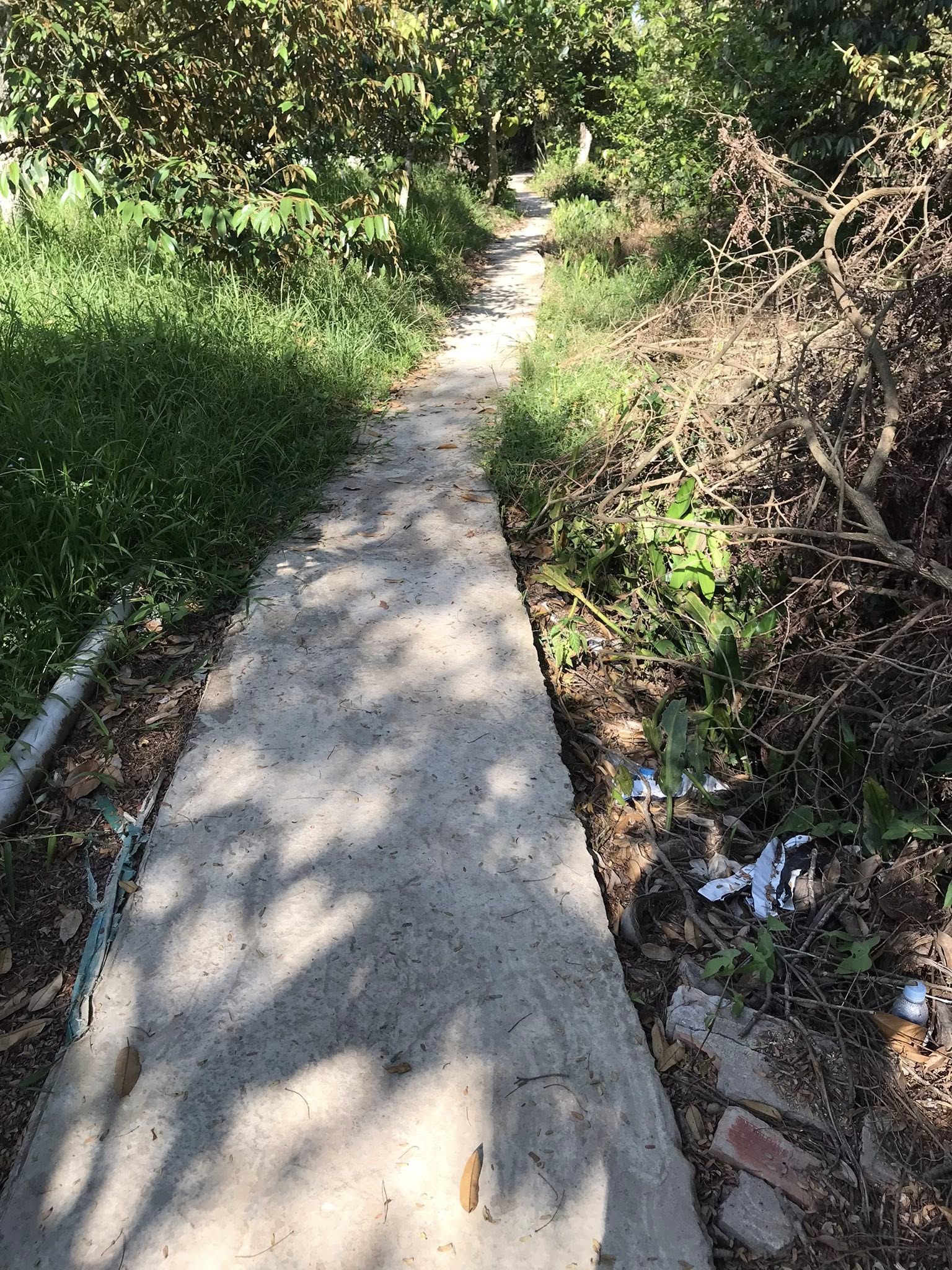 Đất vườn sầu riêng Đông Hòa Hiệp, Cái Bè giá 950 triệu, diện tích 2 công, pháp lý rõ ràng, vị trí đẹp – liên hệ 0814.582.328