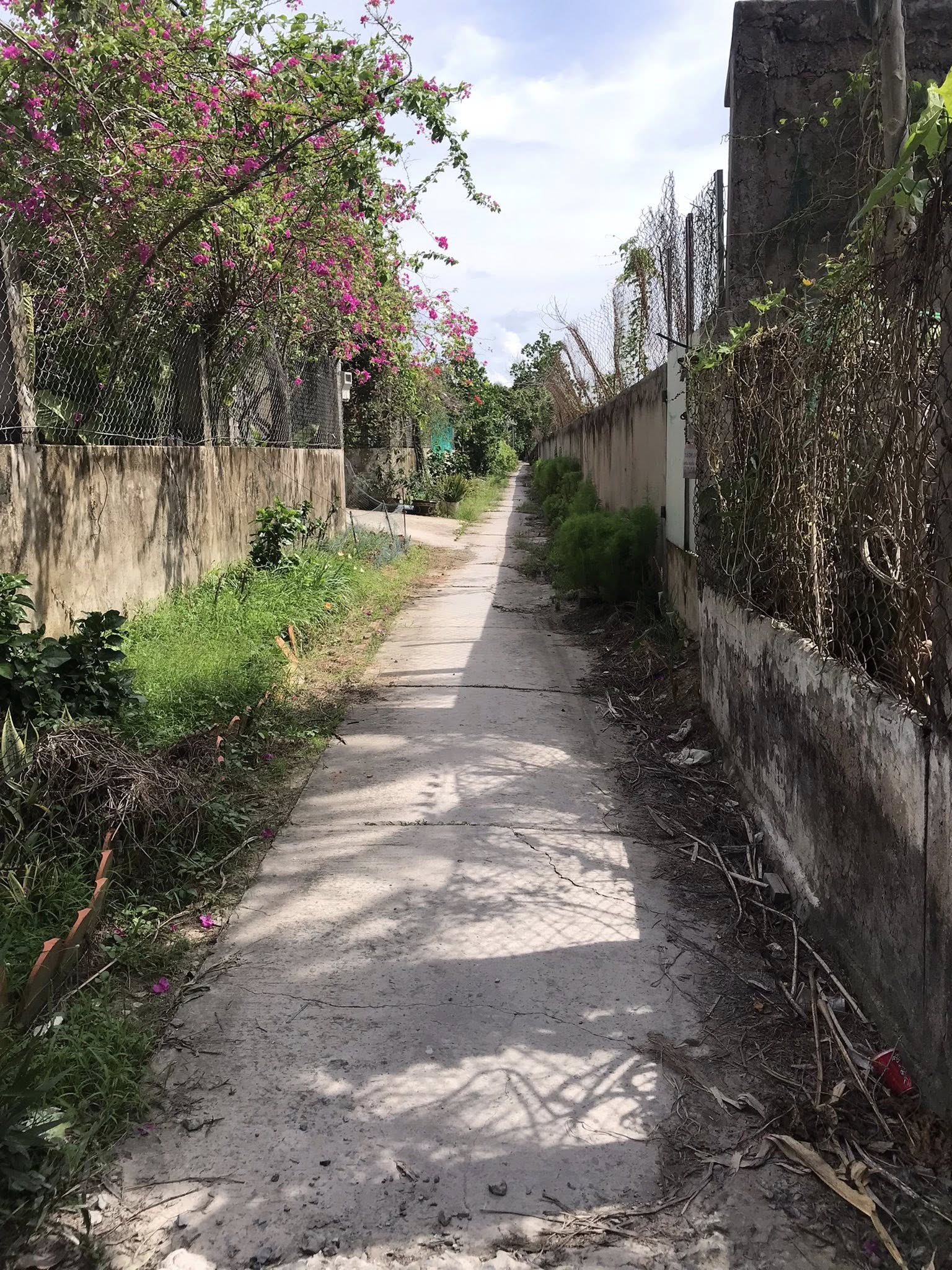 đất Đông Hòa Hiệp - Ảnh 3