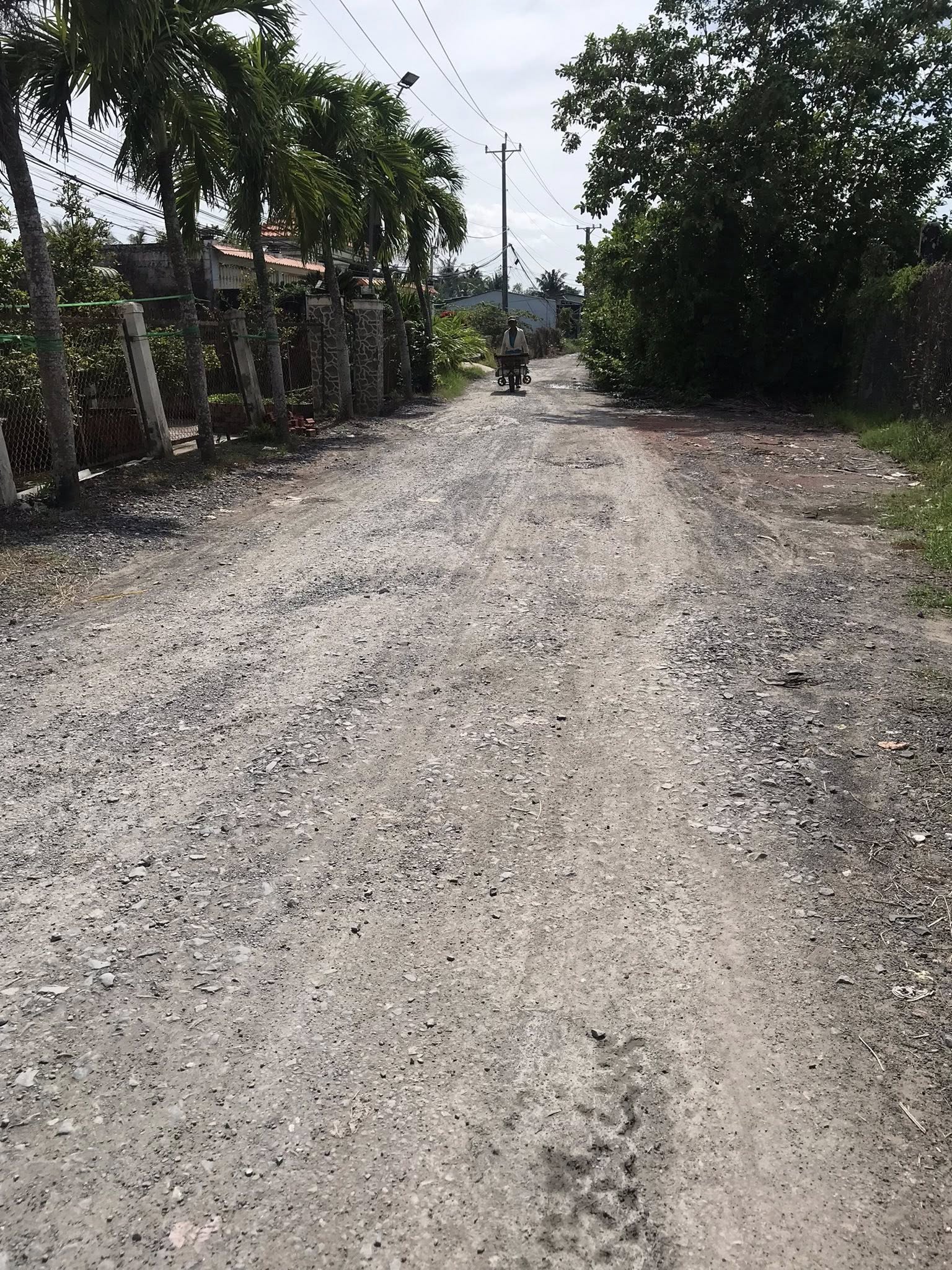 đất Đông Hòa Hiệp - Ảnh 4