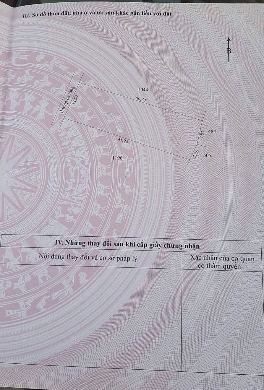 đất Đông Hòa Hiệp - Ảnh 5