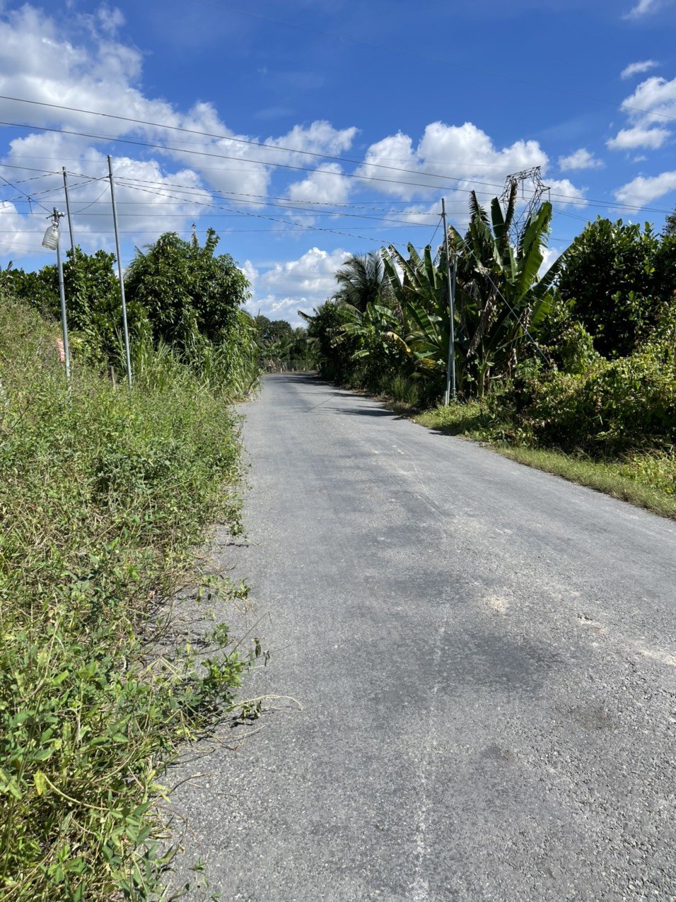 bán đất mặt tiền HL71C - Ảnh 2