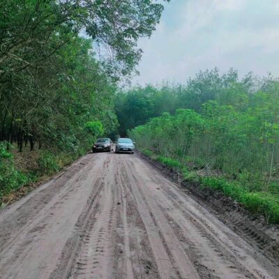 🔥 [TÂY NINH] ĐẦU TƯ TÀI CHÍNH THẤP: CHỈ 250 TRIỆU SỞ HỮU NGAY HƠN 1 CÔNG ĐẤT (1.031M2) - ĐƯỜNG 6M Ô TÔ TRÁNH NHAU 🔥