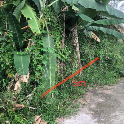 🌟 [CẦN BÁN] Đất Vườn Thoáng Mát Tại Phường 3, TX. Cai Lậy - Chỉ 600 Triệu 🌟
