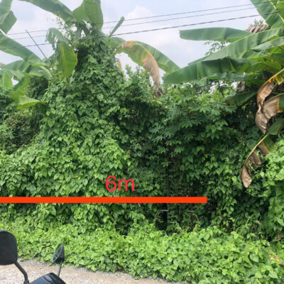 🌟 [CẦN BÁN] ĐẤT NỀN ĐẸP MẶT TIỀN ĐƯỜNG BÊ TÔNG 3,5M - XÃ LONG KHÁNH, TX. CAI LẬY 🌟